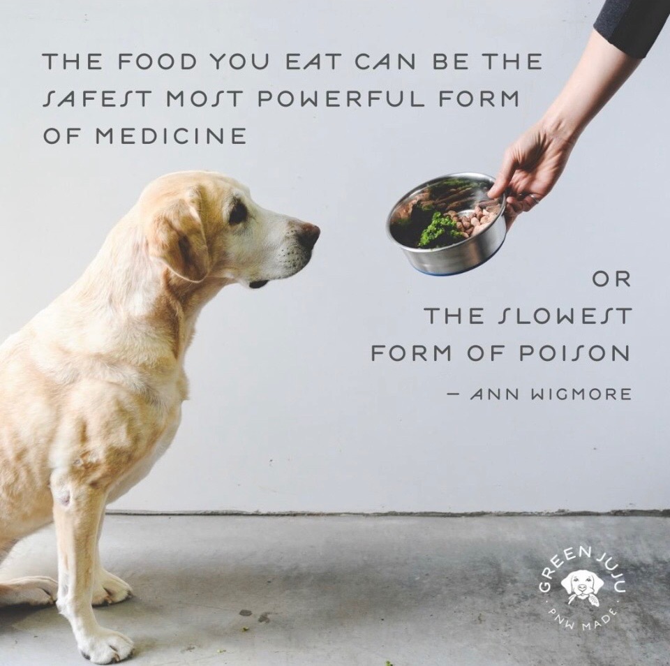 Pet Foods – Healthy Pet Market
